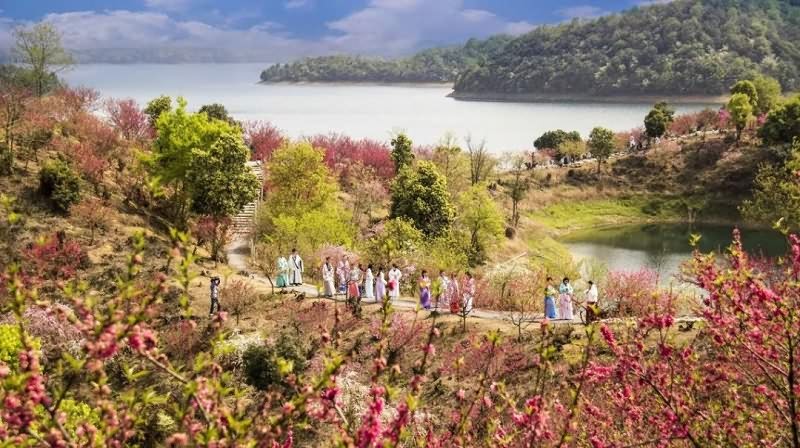 以花为名：这个曾与中秋节齐名的重要节日，如今却为何少有人知？