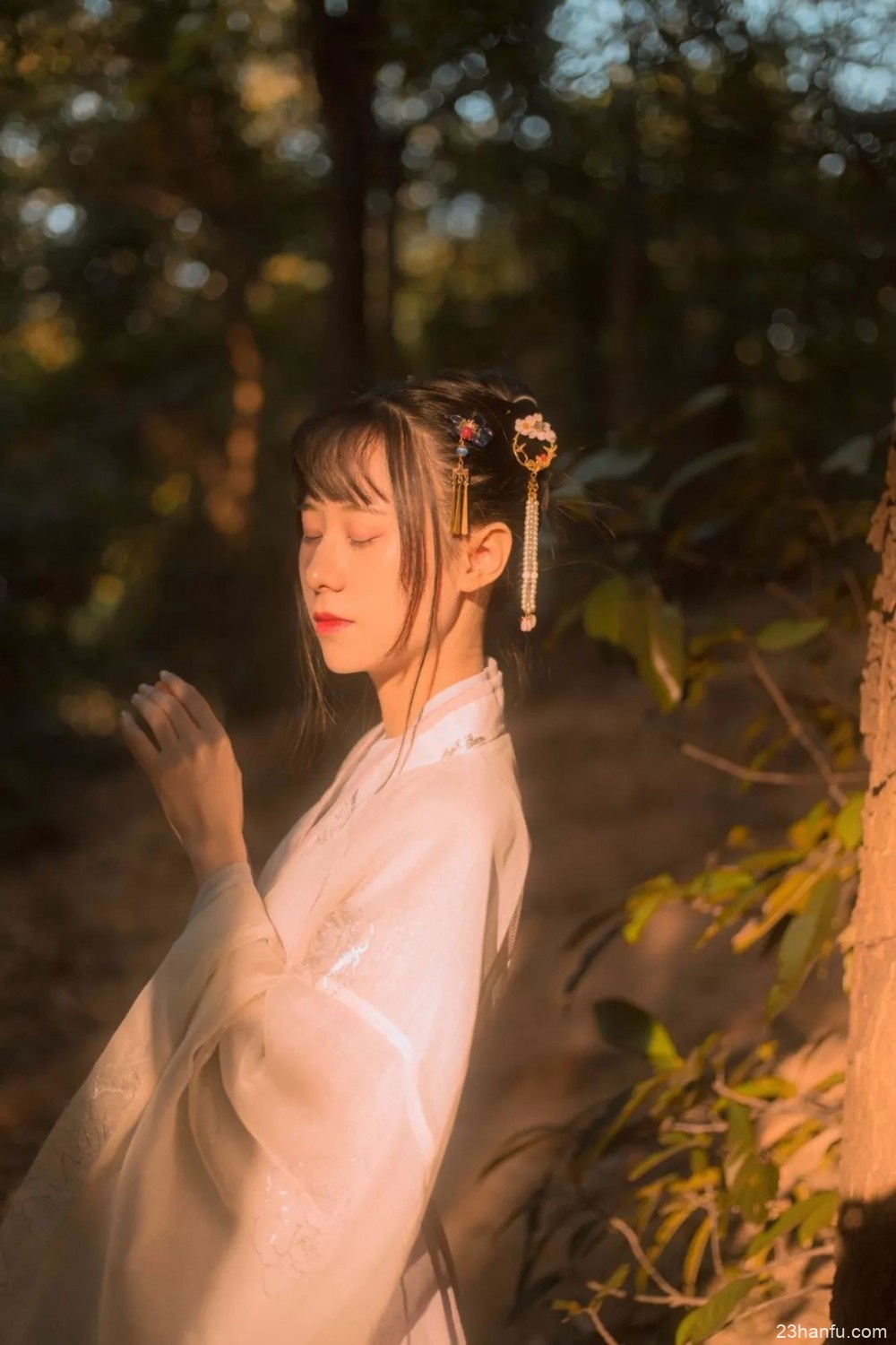 【汉服摄影】霁痕才着树，山意未离云