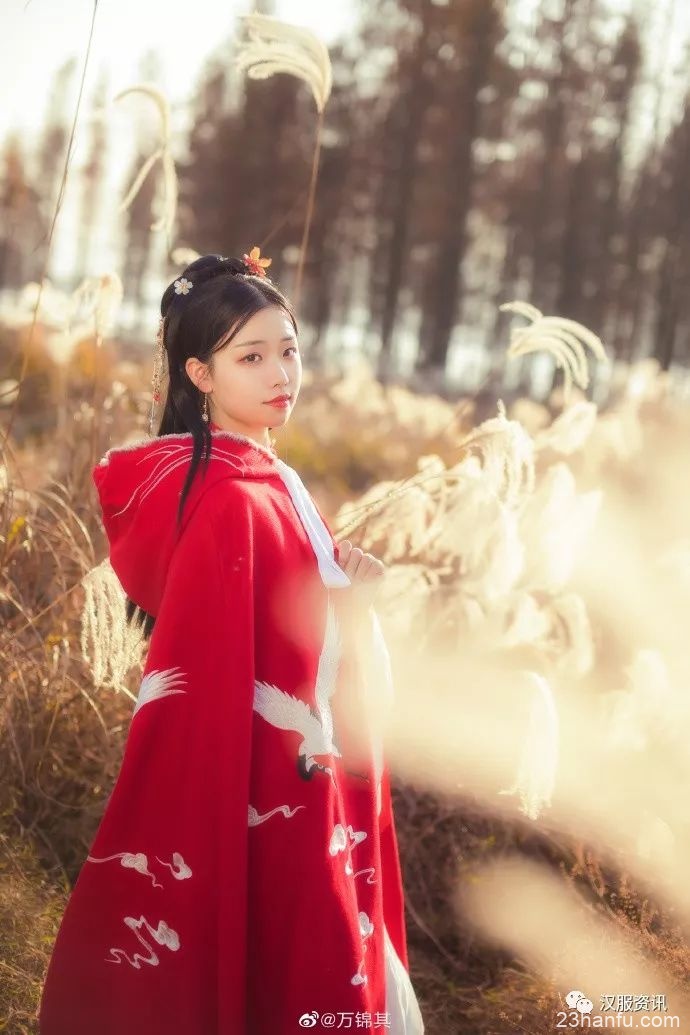【汉服私影】蒹葭萋萋，白露未晞。