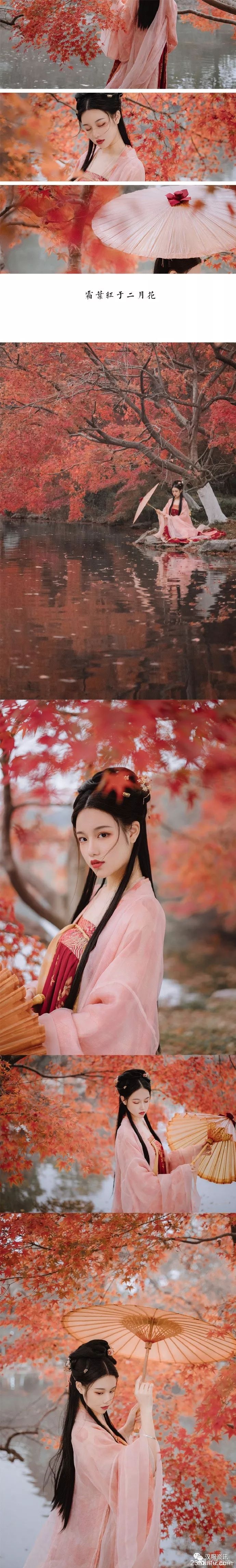 【汉服摄影】试问卷帘人，却道海棠依旧