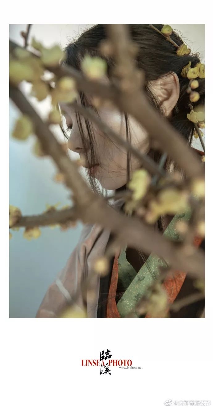 【汉服仕女】可叹停机德，金簪雪里埋