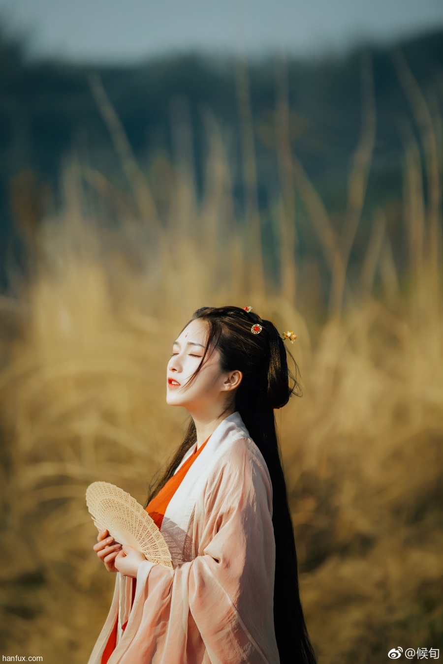 过年来最好的太阳