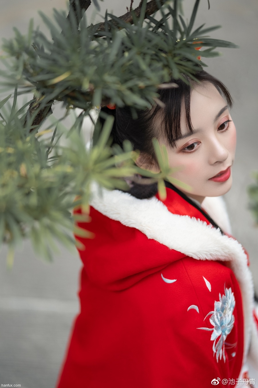 【汉服私影】清平调