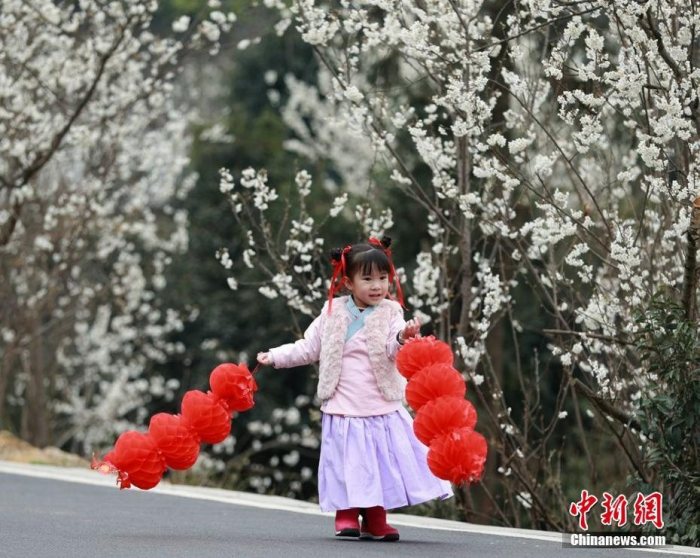萌哭了 汉服萌娃“现身”万亩樱桃花海