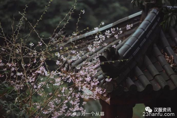 【汉服摄影】昨日入山喝茶去