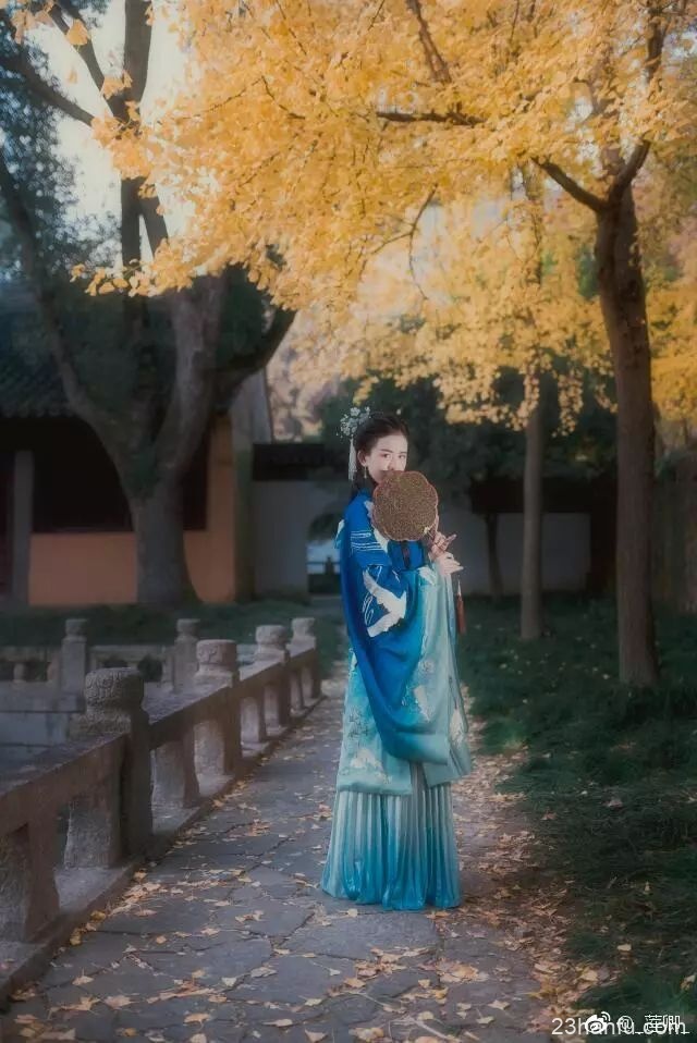 过年来最好的太阳