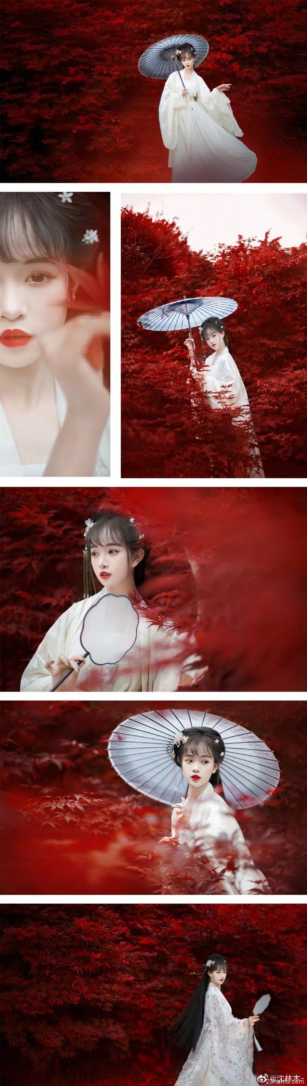【汉服美图】生来本是长青叶