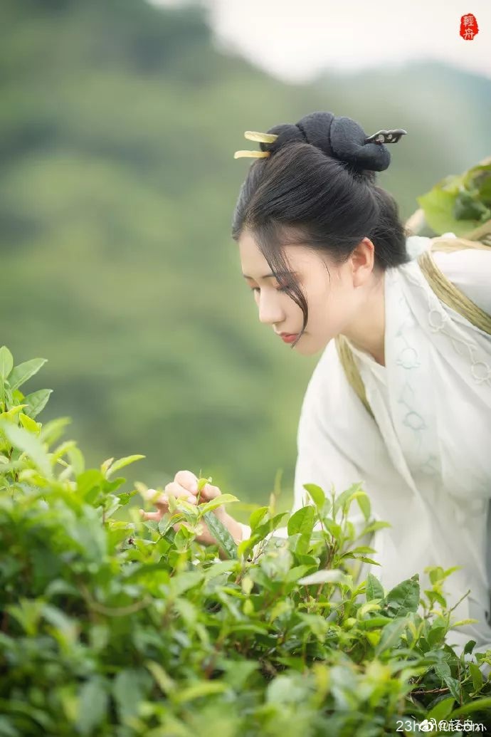 【汉服私影】借问采茶女,烟霞路几重。