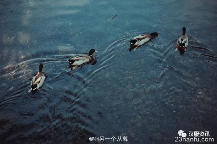 【汉服摄影】昨日入山喝茶去
