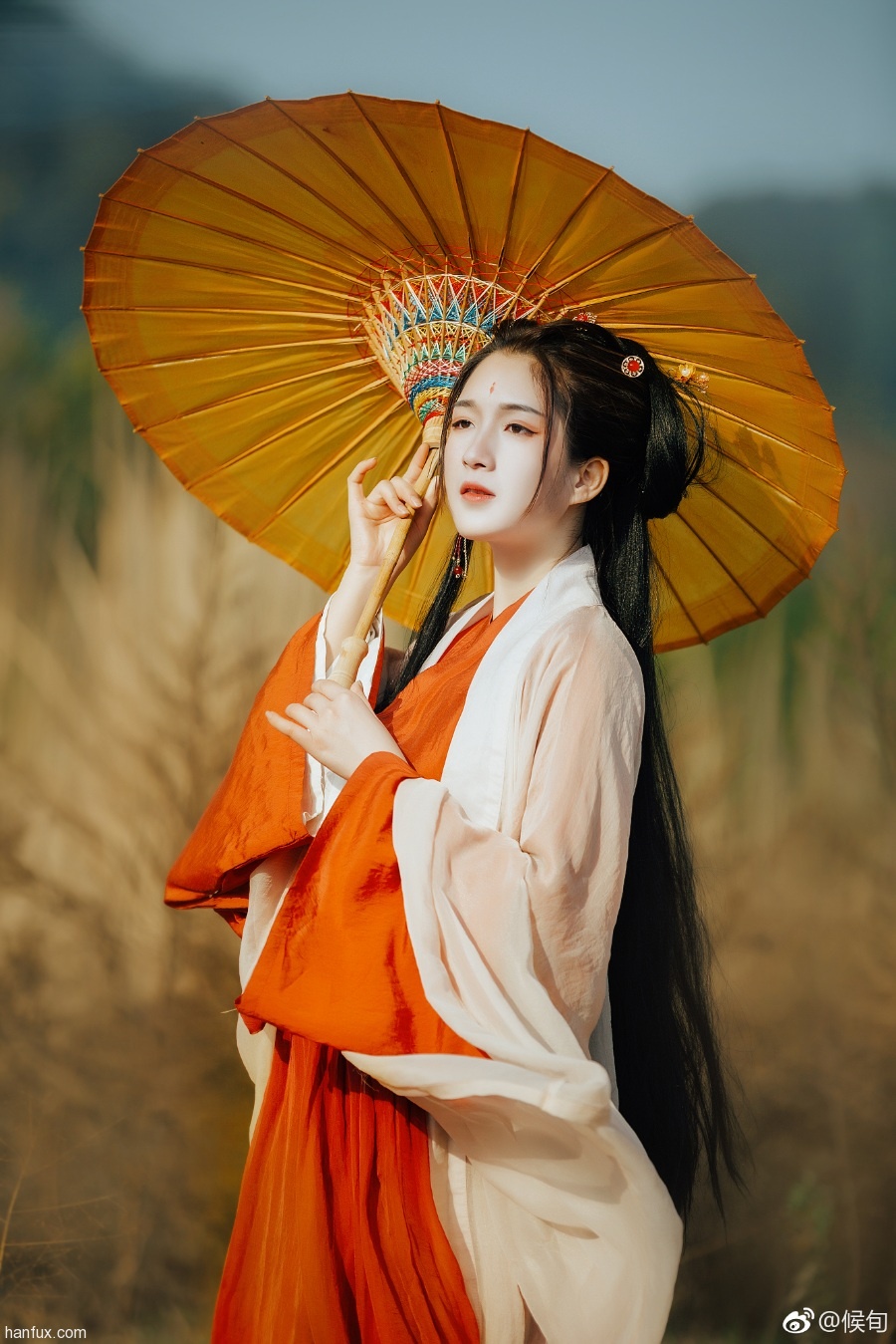过年来最好的太阳