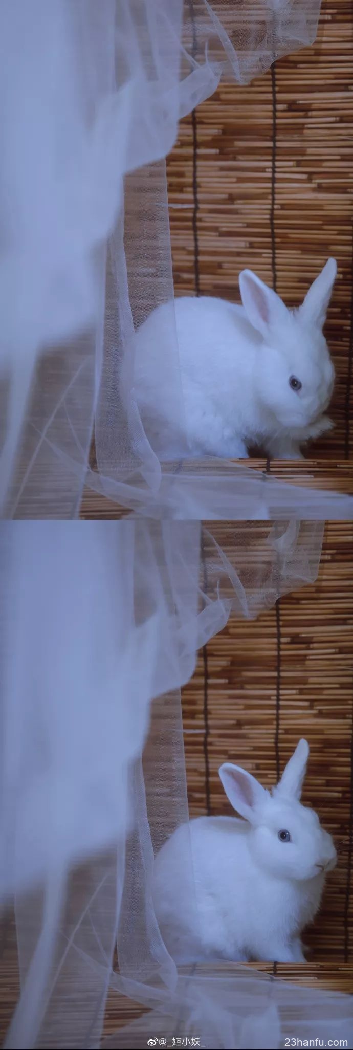 【汉服小仙女】点绛唇•蹴罢秋千