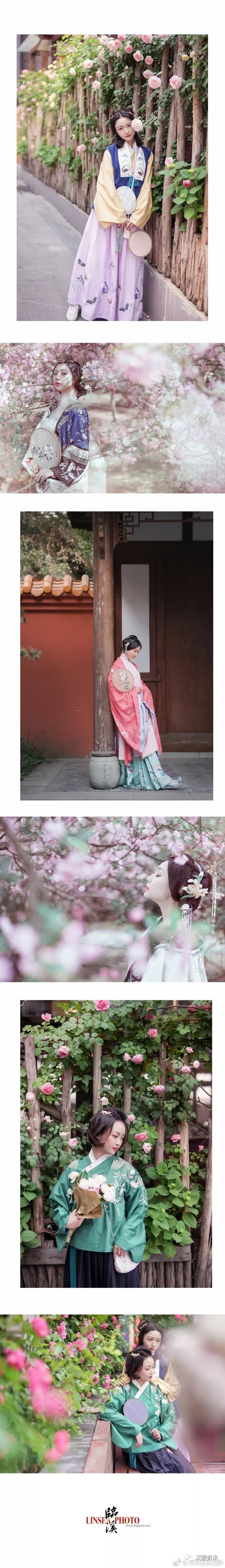 【汉服摄影】春路雨添花