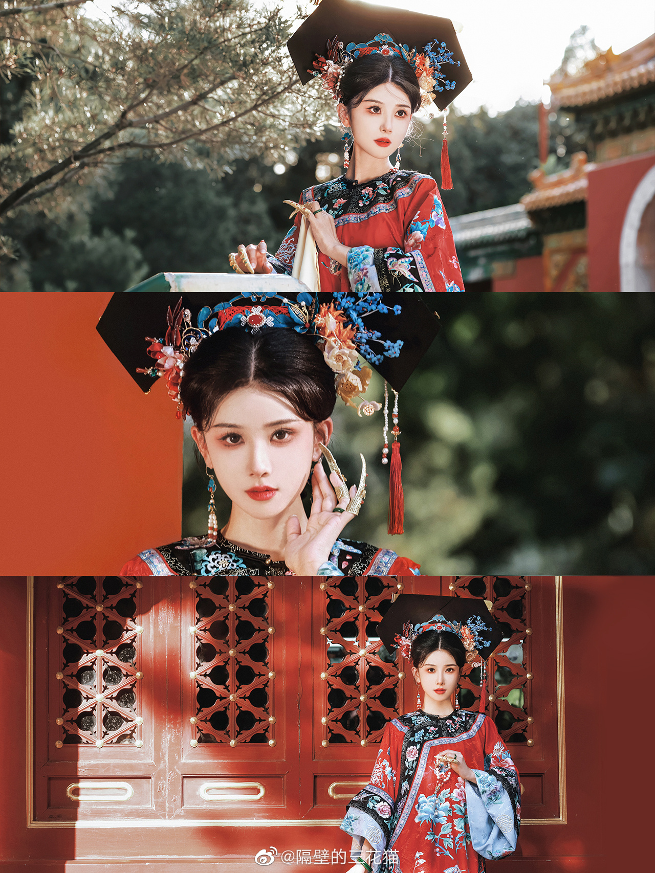 红墙绿树景长新…@隔壁的三花猫