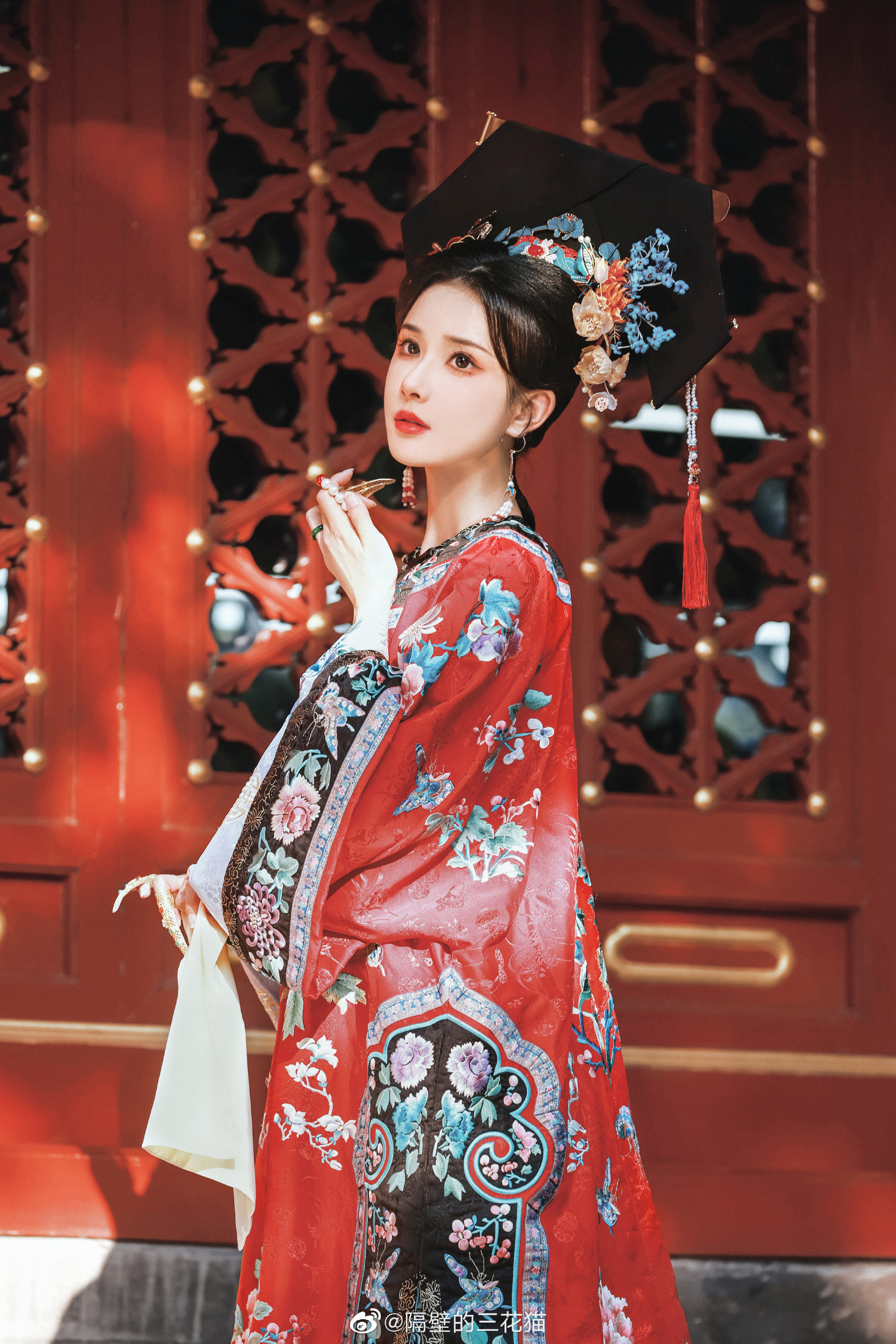 红墙绿树景长新…@隔壁的三花猫