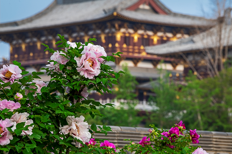 在洛阳，五一可以穿汉服去哪里玩？