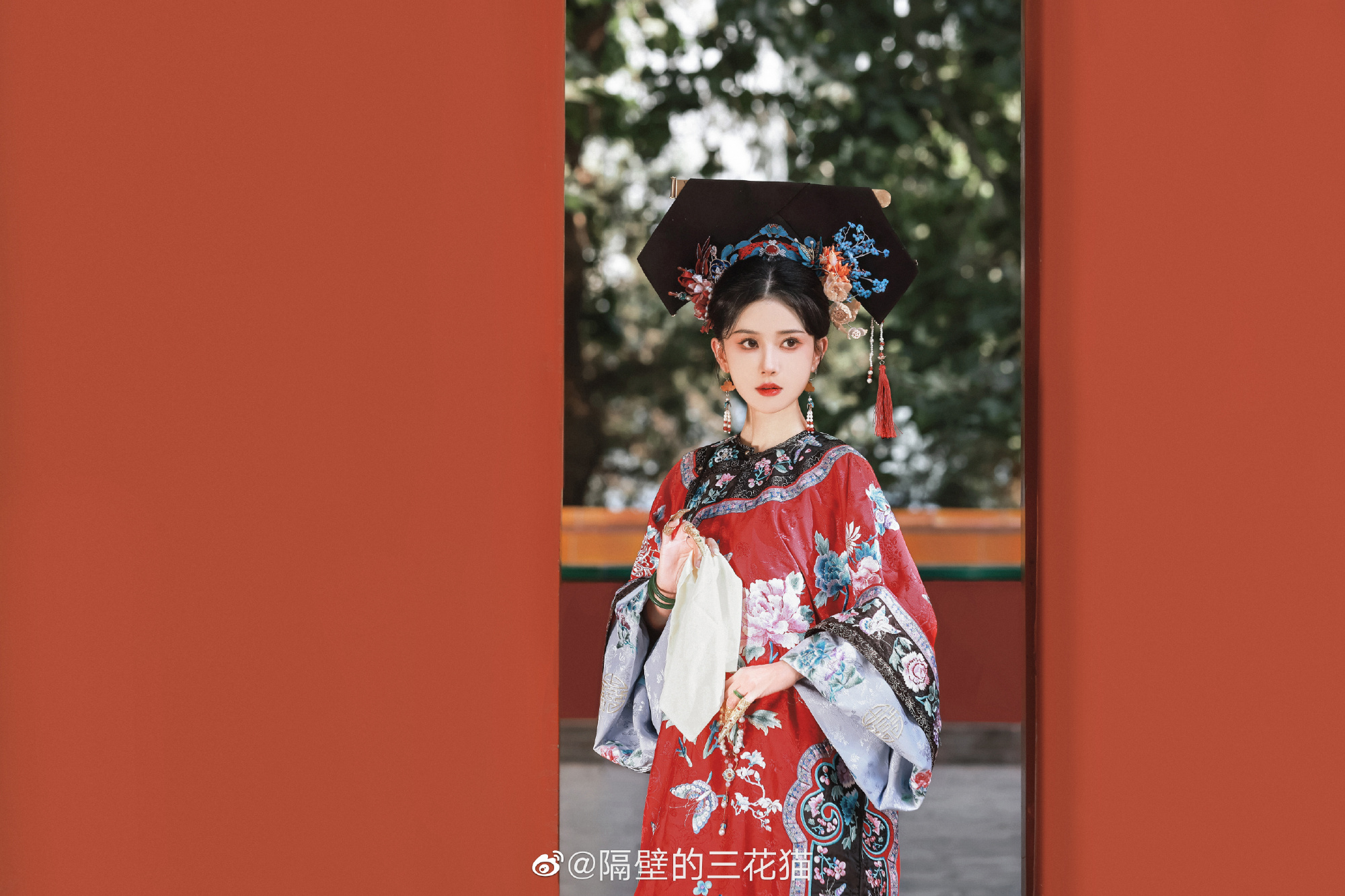 红墙绿树景长新…@隔壁的三花猫