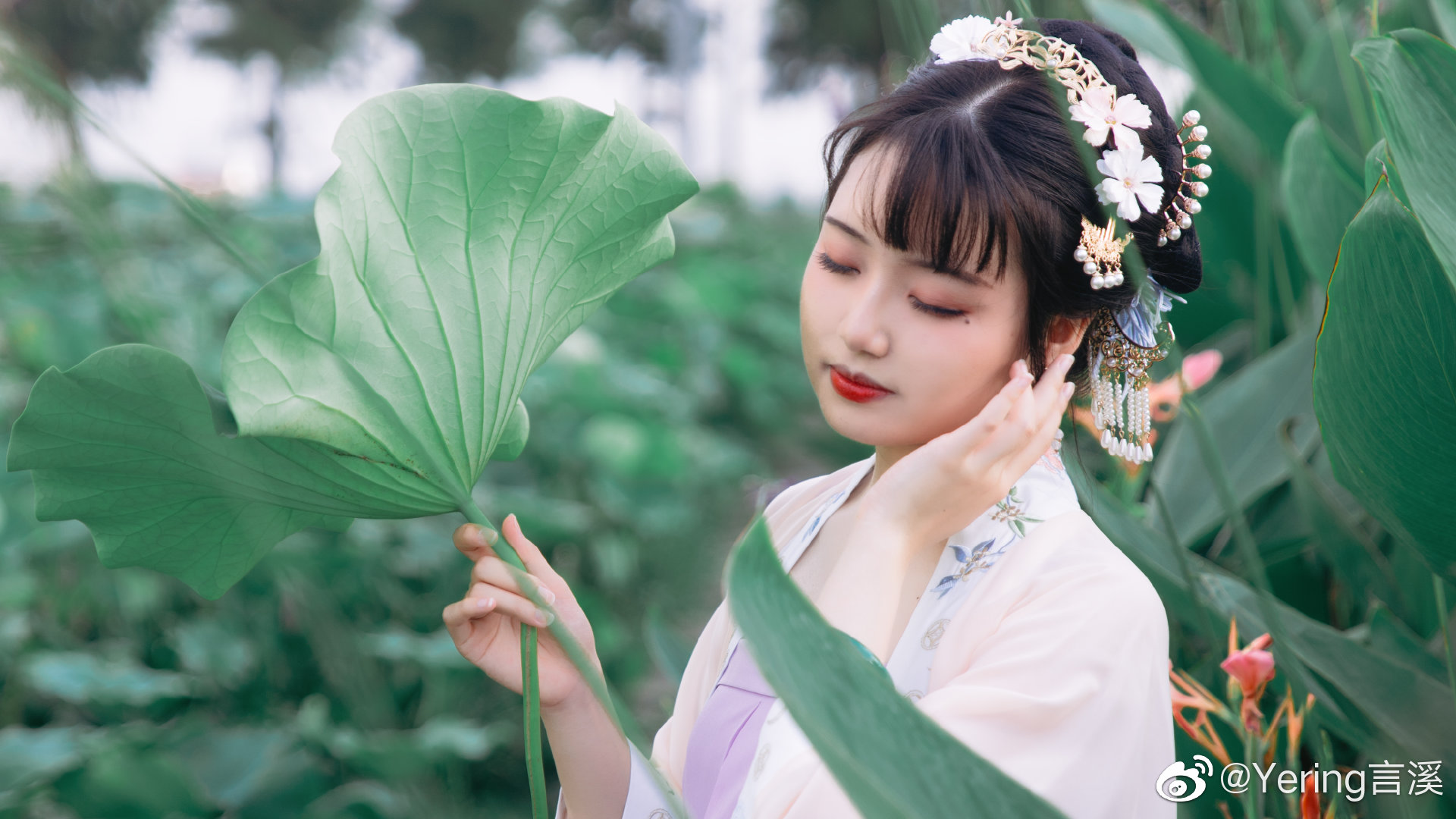 「叶上初阳干宿雨，水面清圆，一一风荷举」 @Yering言溪