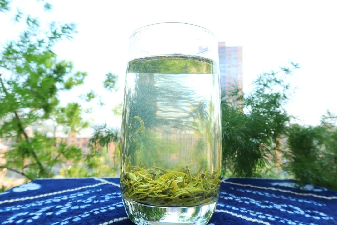 央视纪录片《茶，一片树叶的故事》简介