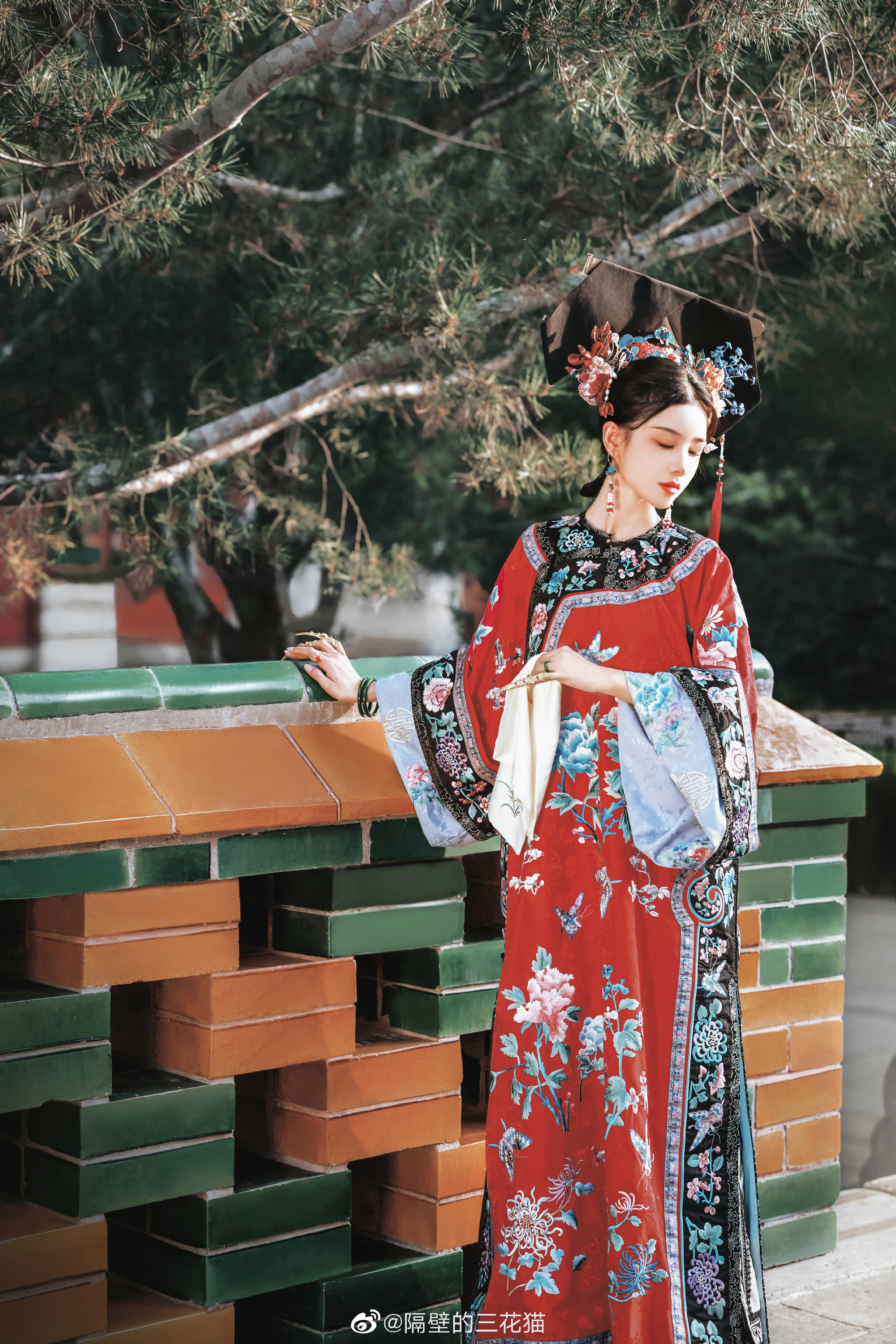 红墙绿树景长新…@隔壁的三花猫