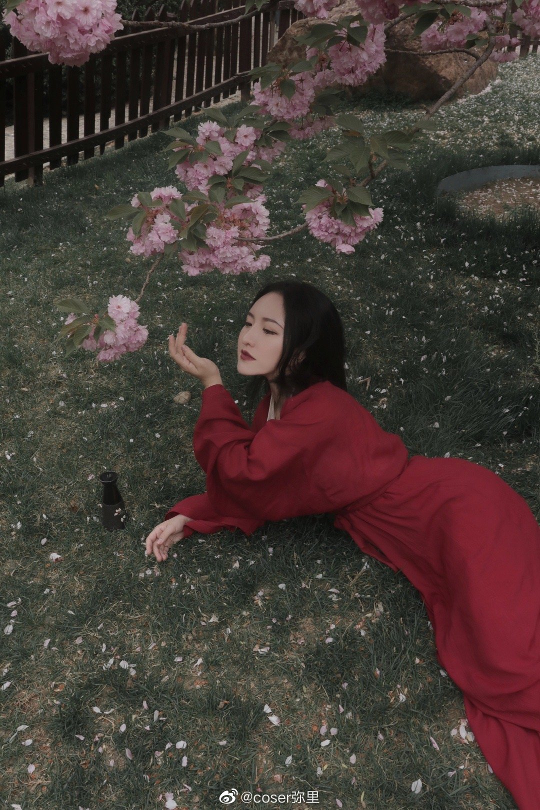 【汉服写真】 樱花 山下梅子酒熟了@coser弥里