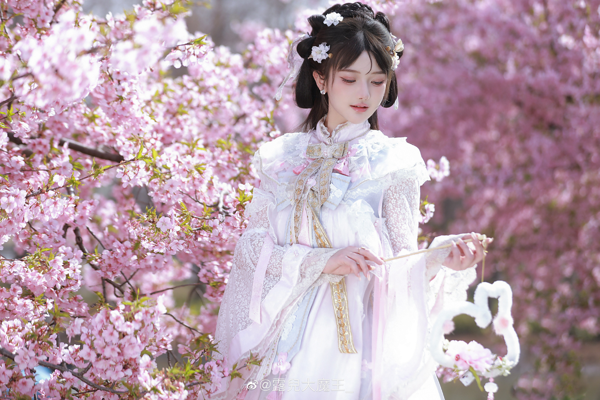 收到了樱花的图 我甚至忘记了这件事。 樱茶@露兒大魔王_