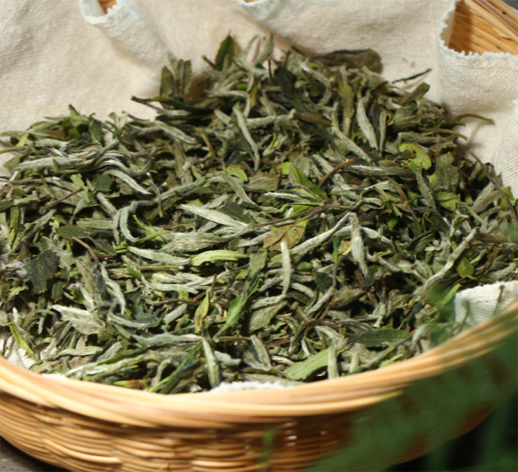 白茶应该怎么储存，看完这篇就懂了