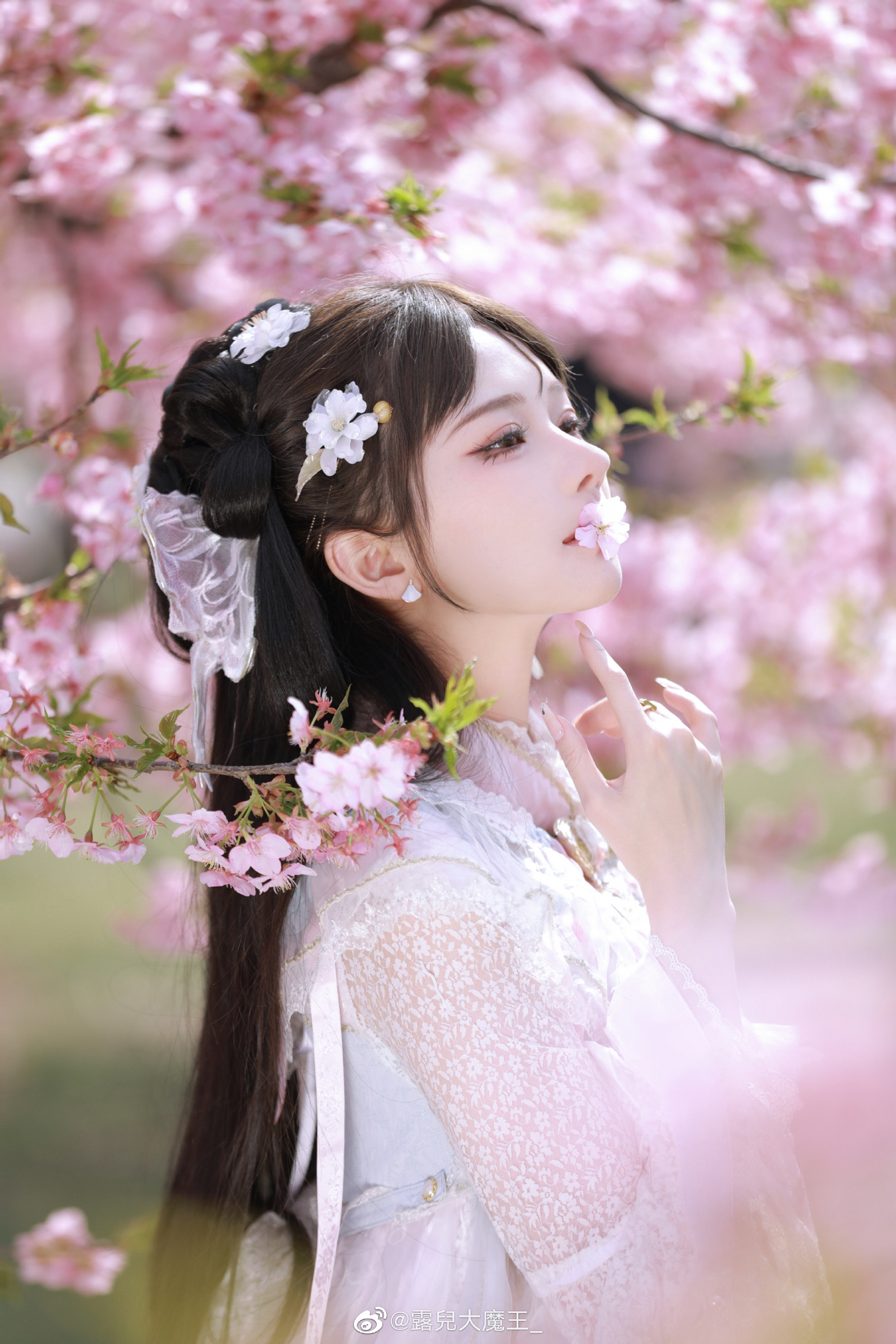 收到了樱花的图 我甚至忘记了这件事。 樱茶@露兒大魔王_