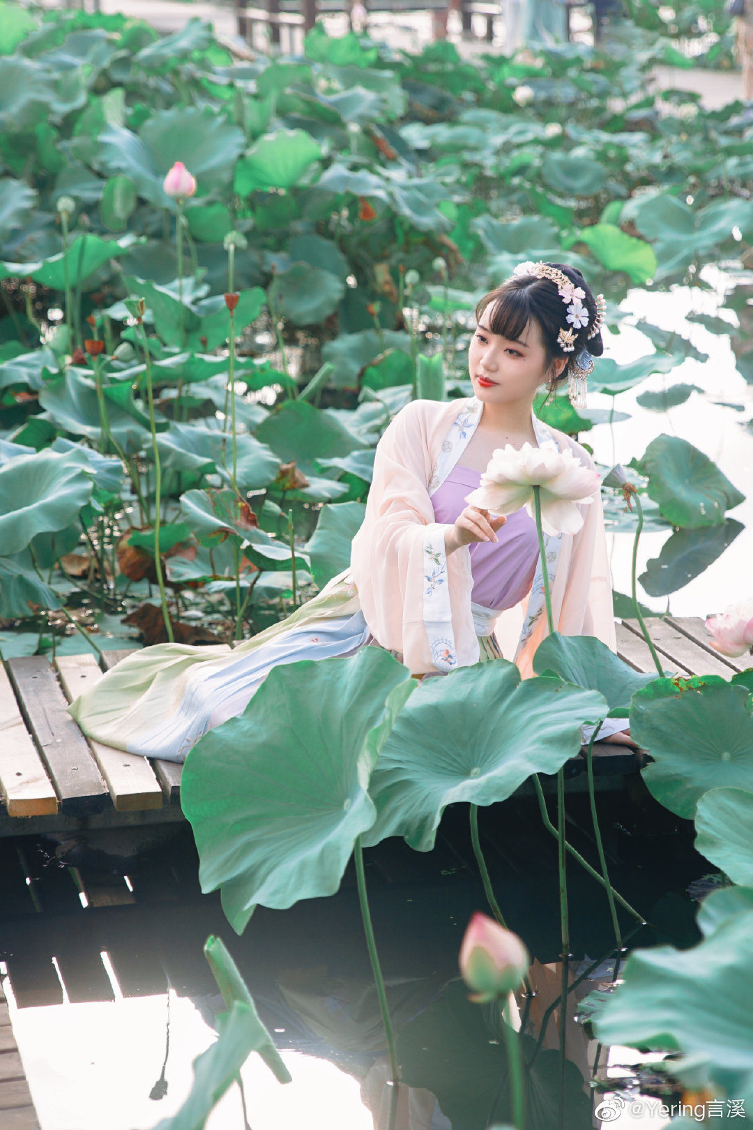 「叶上初阳干宿雨，水面清圆，一一风荷举」 @Yering言溪