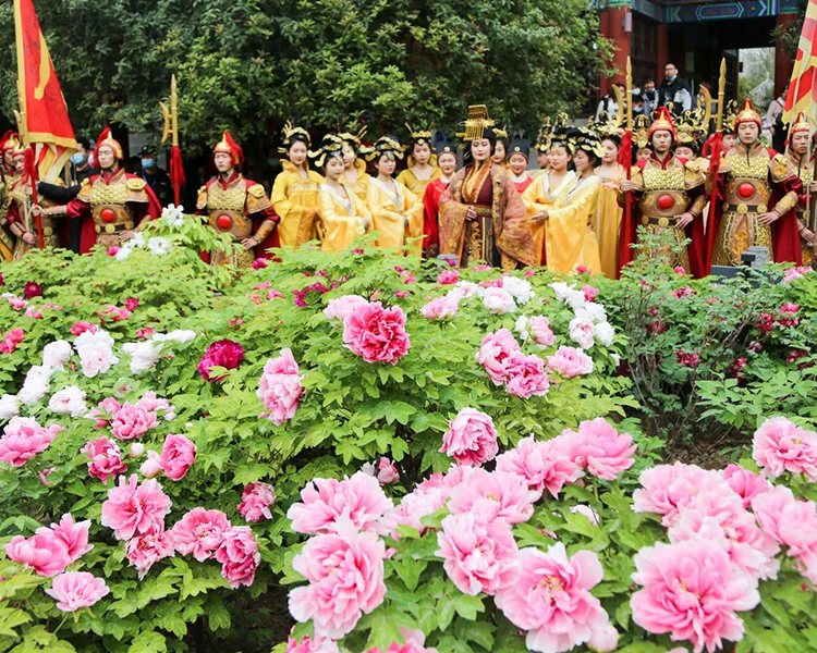 在洛阳，五一可以穿汉服去哪里玩？