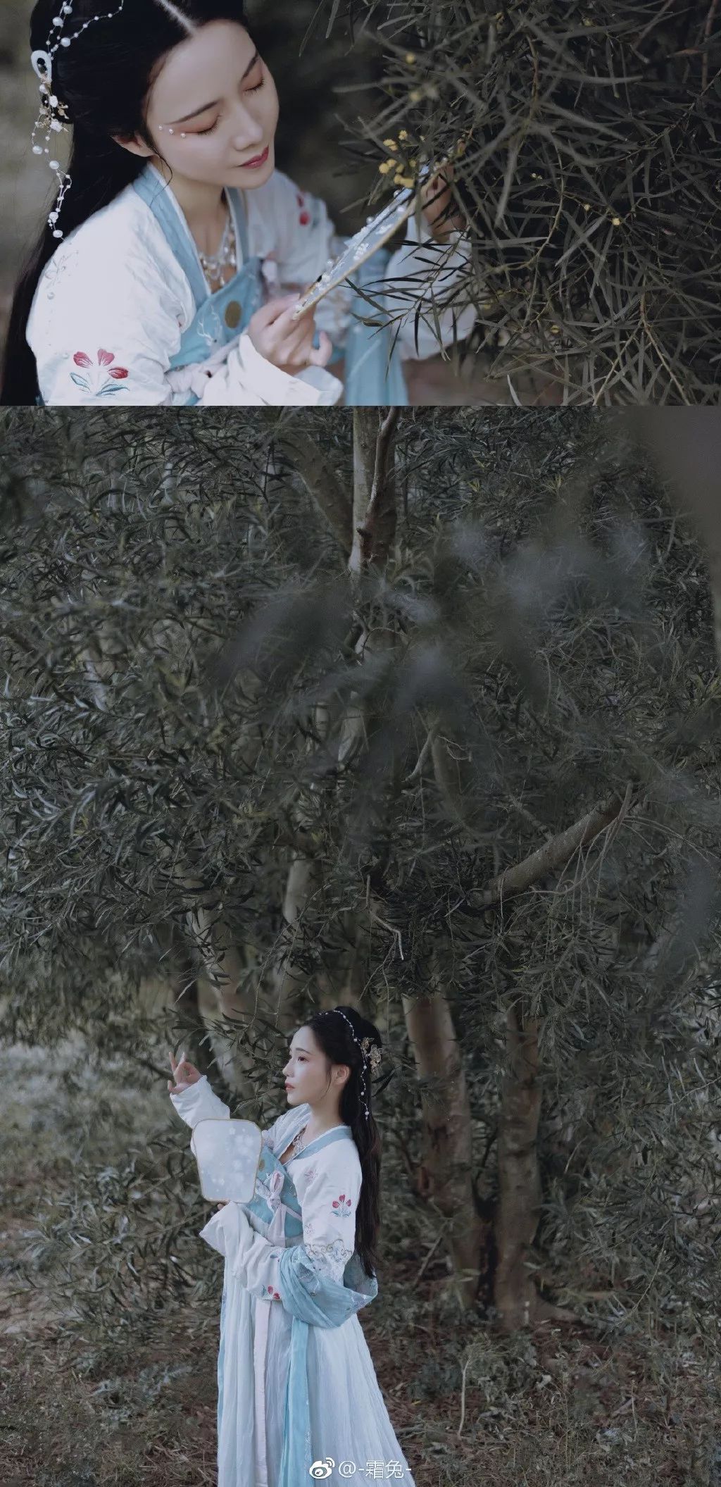 皓露助流華，輕風佐浮涼