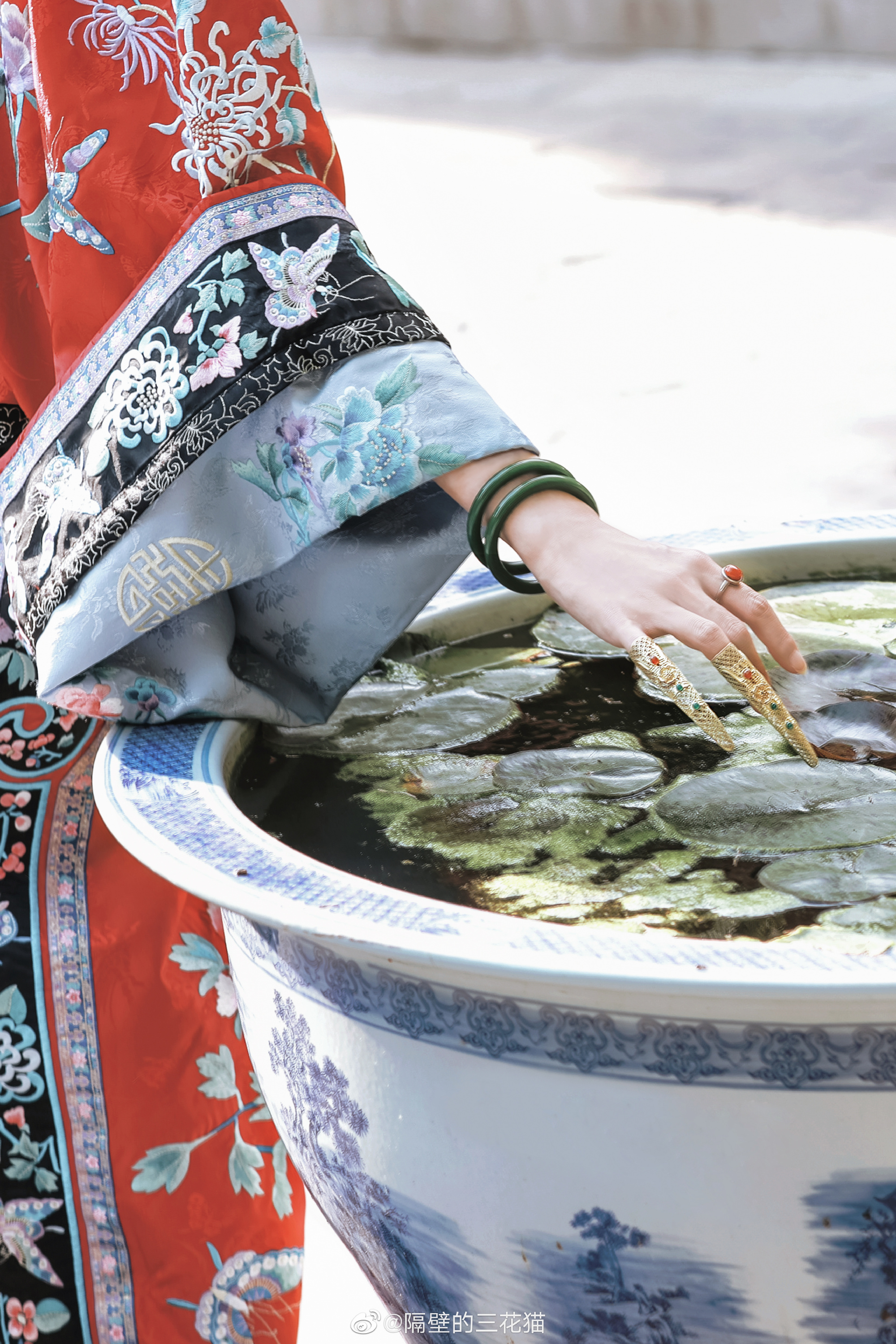 红墙绿树景长新…@隔壁的三花猫