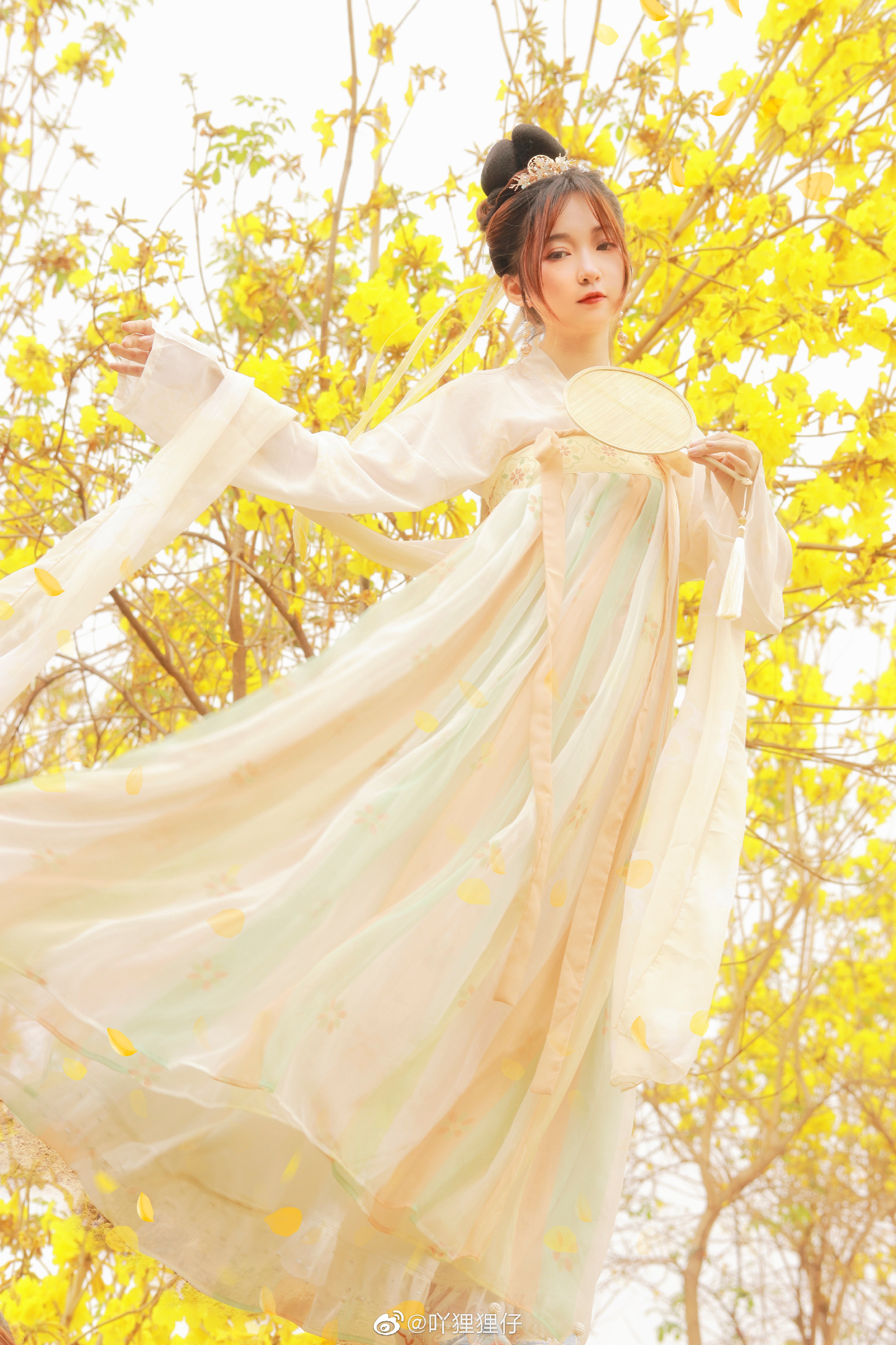 【汉服写真】黄花一树满风铃@吖狸狸仔