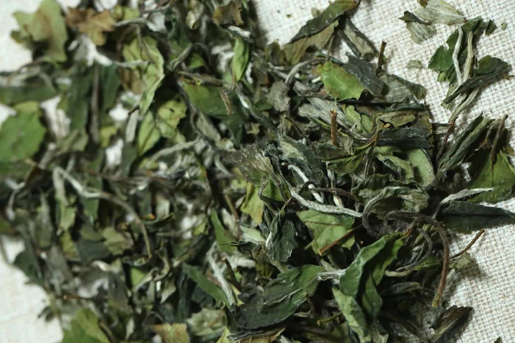 白茶应该怎么储存，看完这篇就懂了