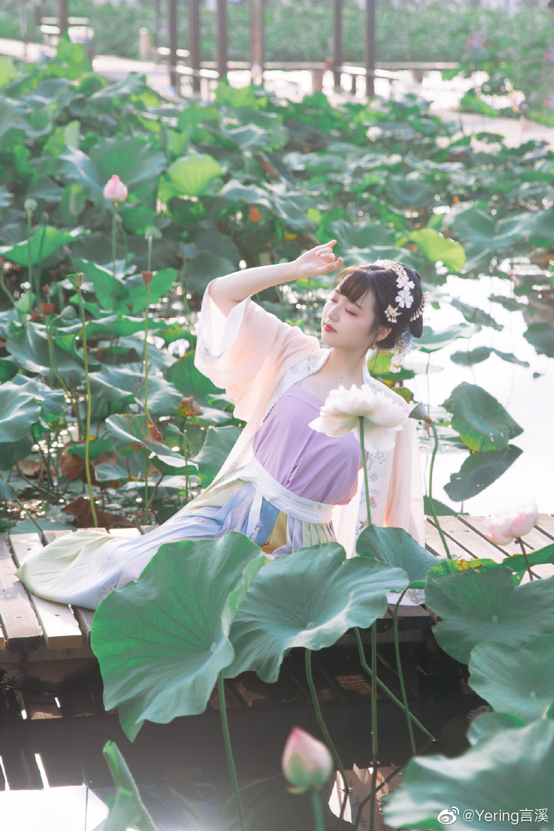 「叶上初阳干宿雨，水面清圆，一一风荷举」 @Yering言溪