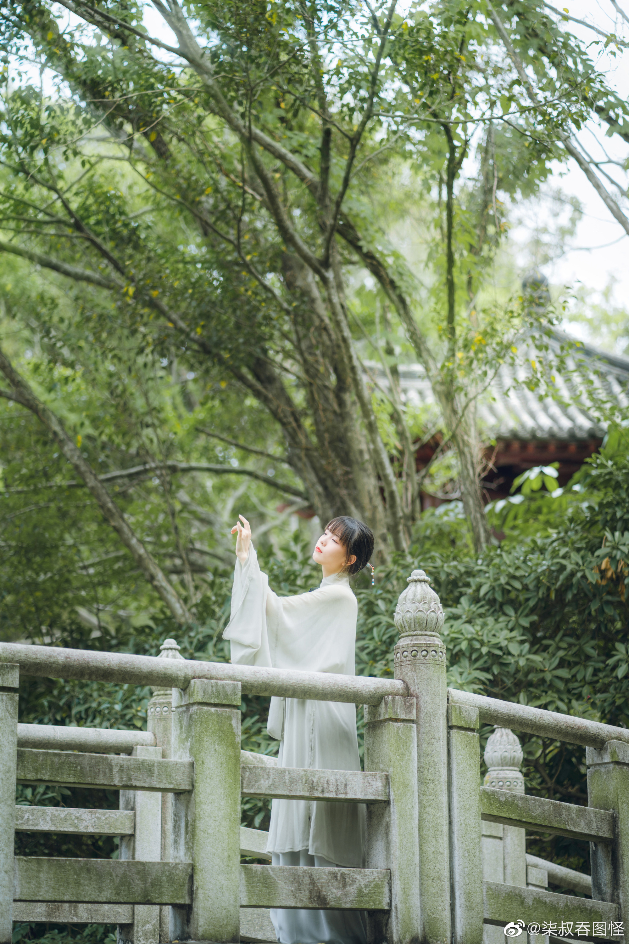 春宵折旧几多愁，花影倚窗人倚楼。@一只陶瓷碗_