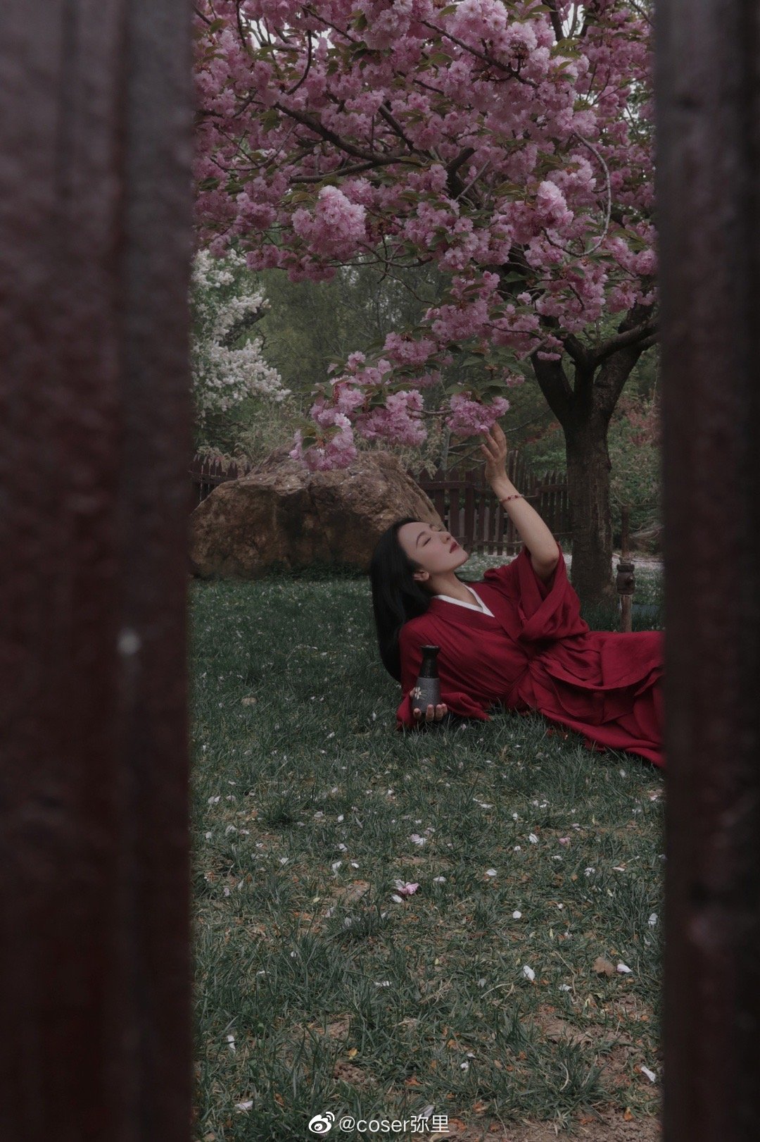 【汉服写真】 樱花 山下梅子酒熟了@coser弥里