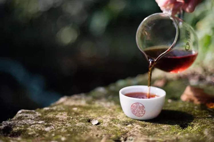 茶汤上的“油“”雾”，是怎么回事？