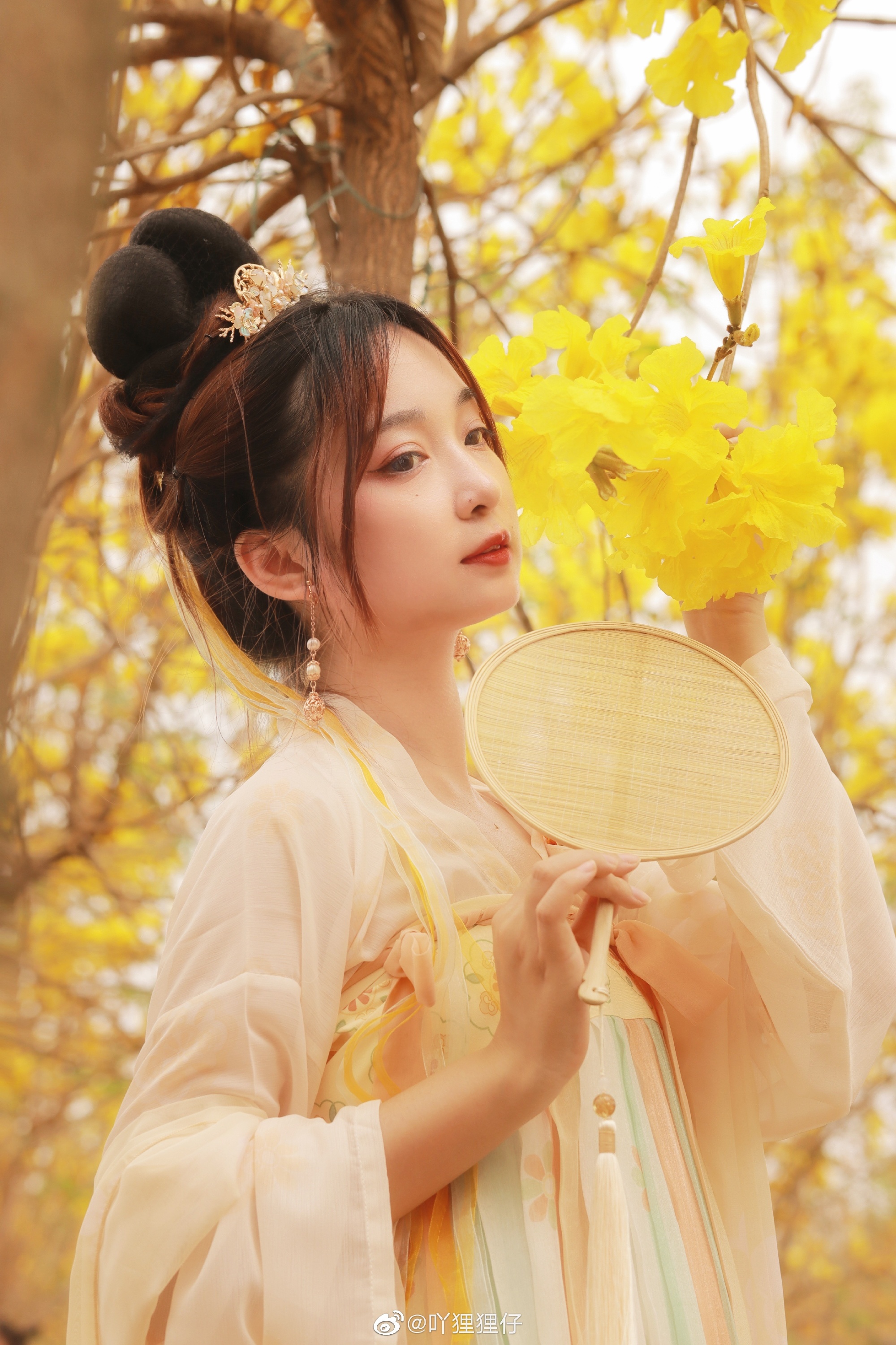 【汉服写真】黄花一树满风铃@吖狸狸仔