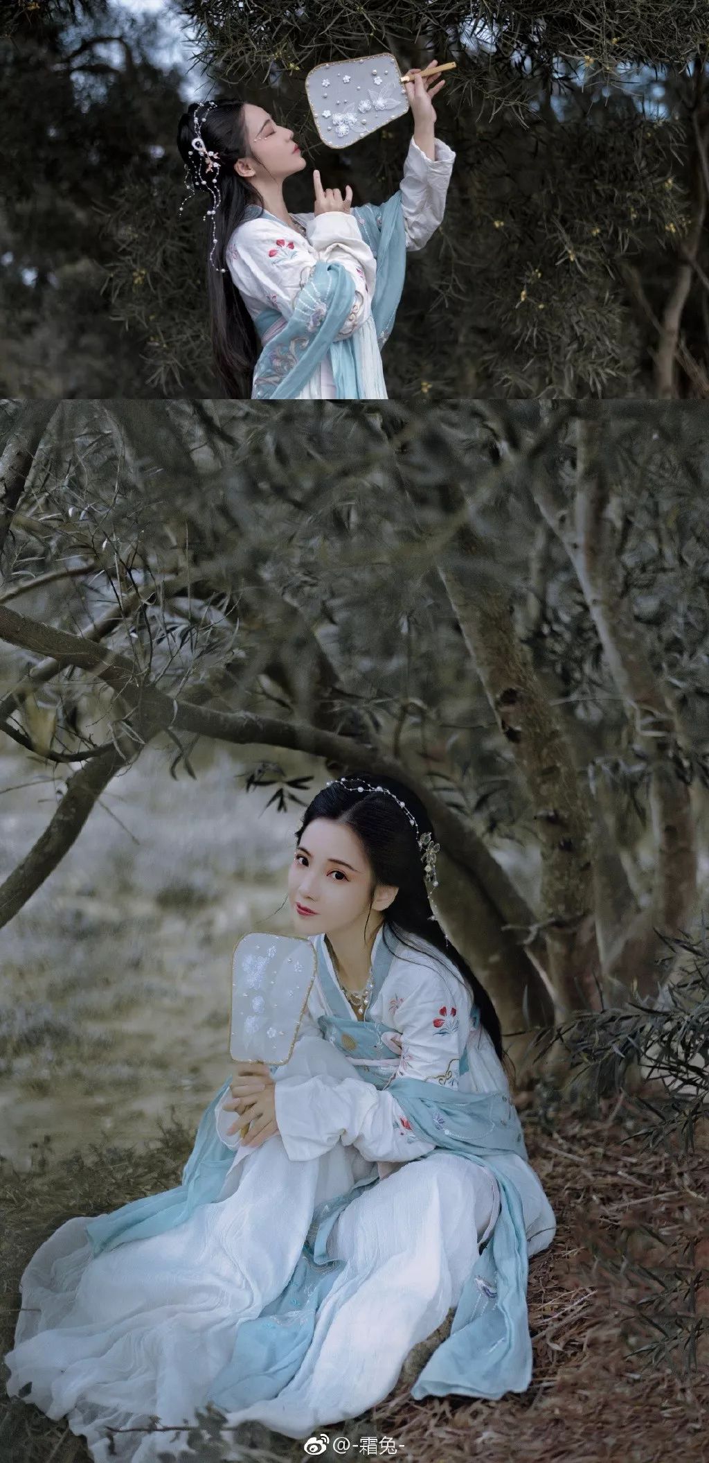 皓露助流華，輕風佐浮涼