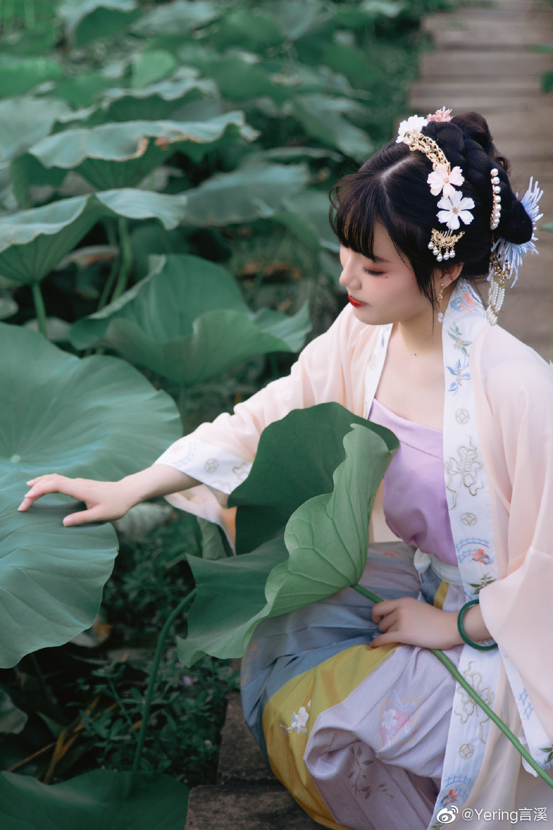 「叶上初阳干宿雨，水面清圆，一一风荷举」 @Yering言溪