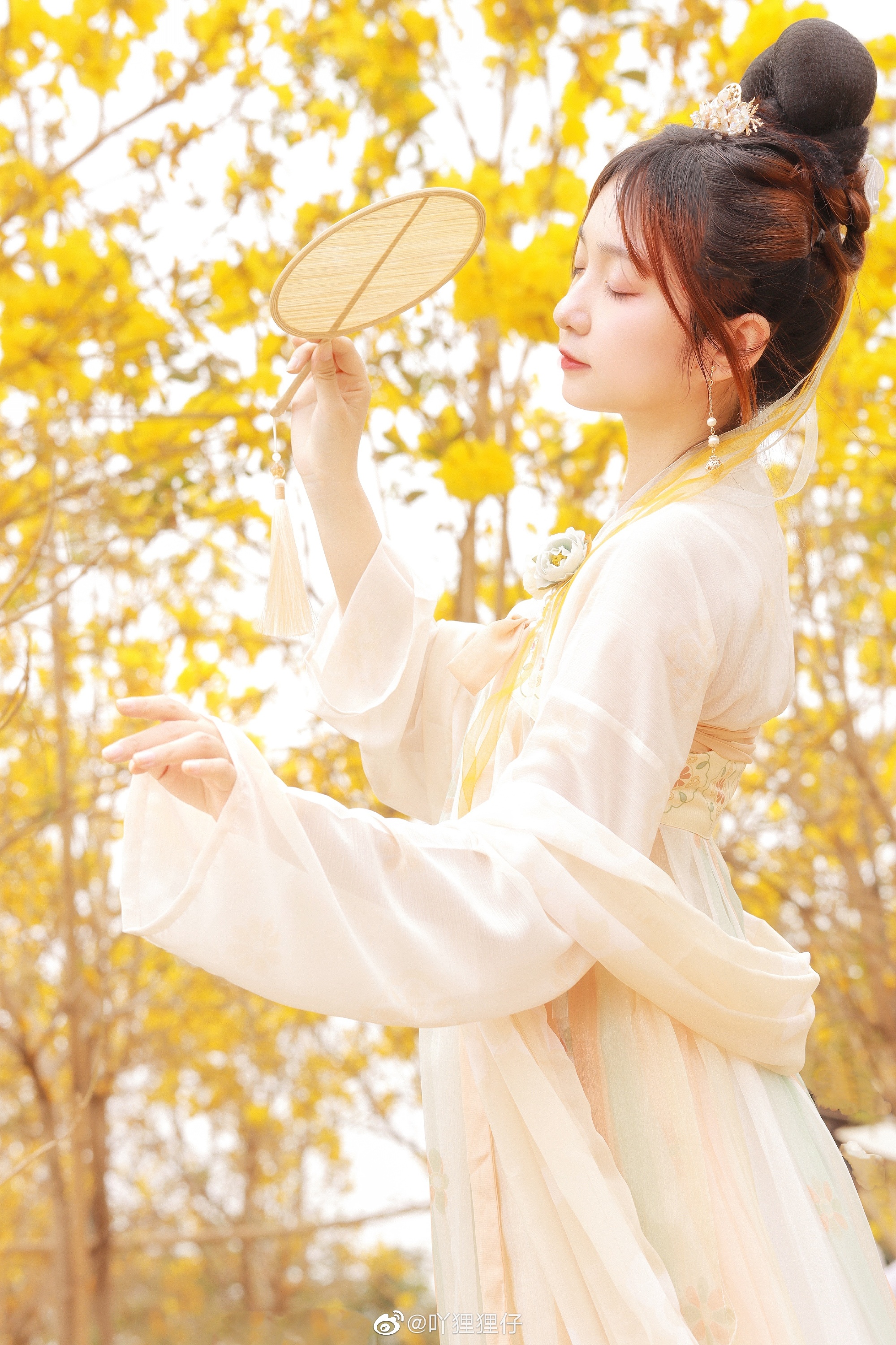 【汉服写真】黄花一树满风铃@吖狸狸仔