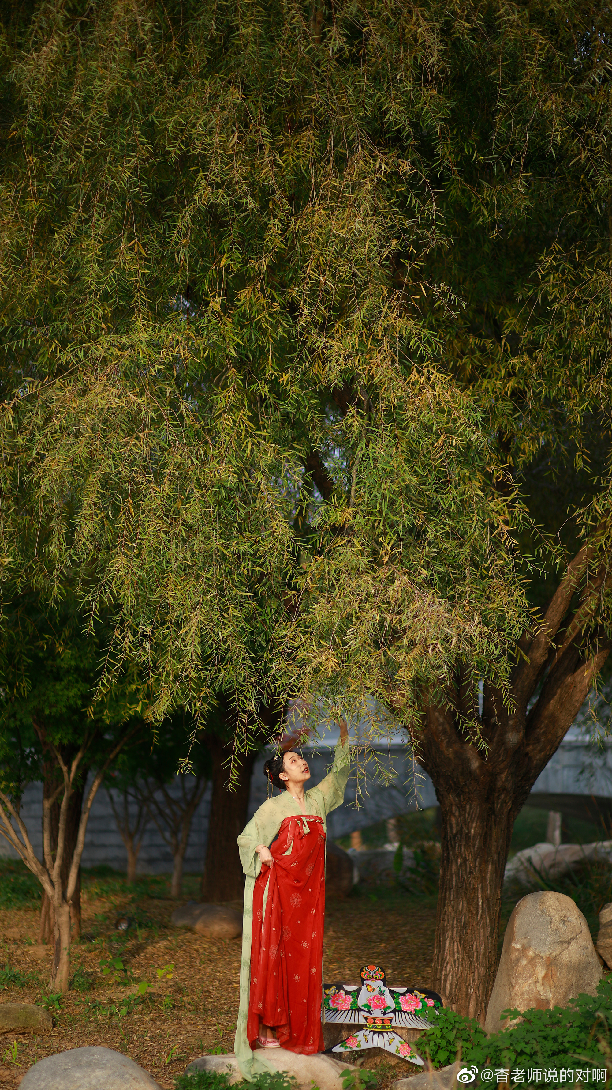 今天天气好好??@杳老师说的对啊