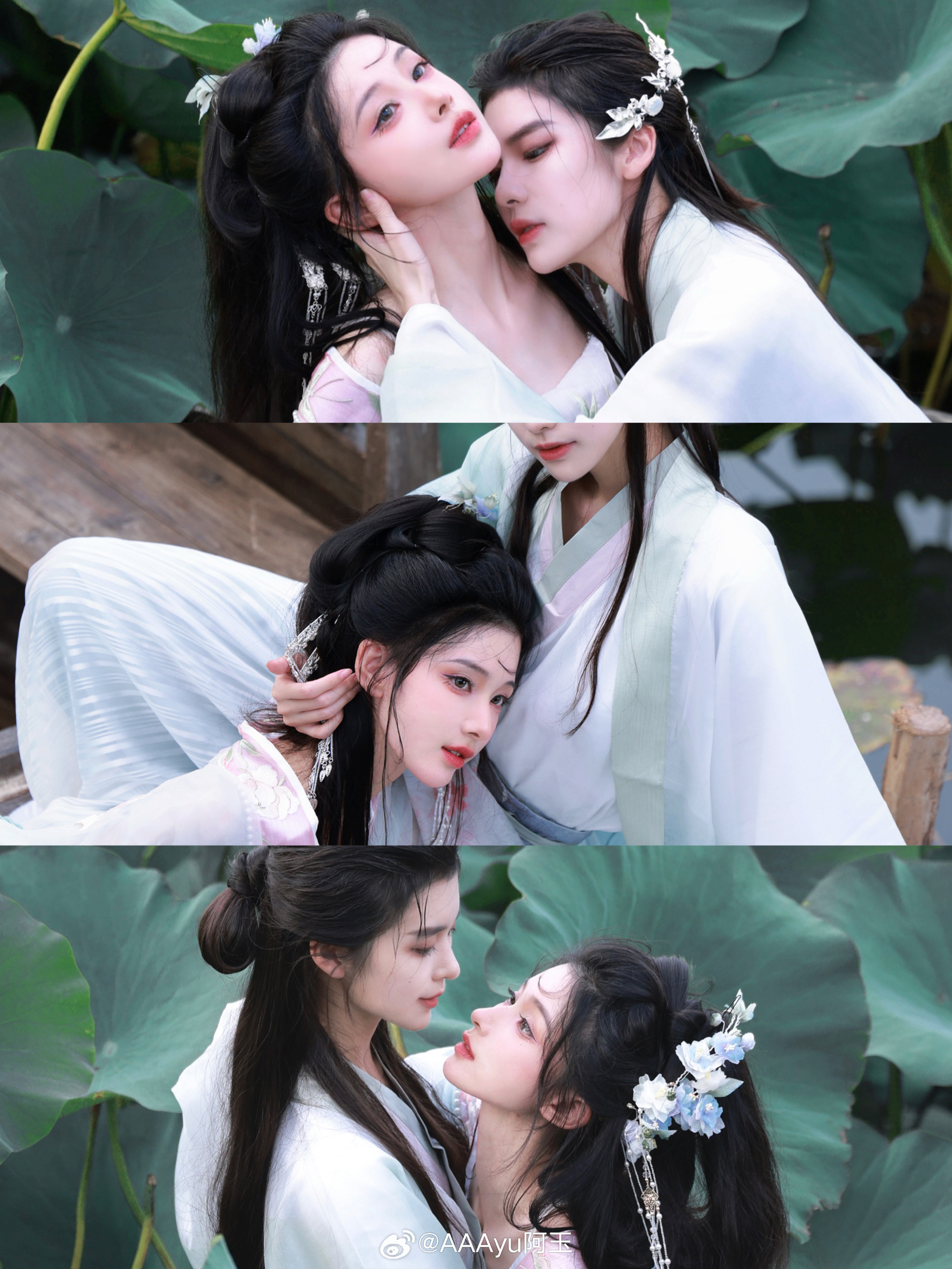 红墙绿树景长新…@隔壁的三花猫