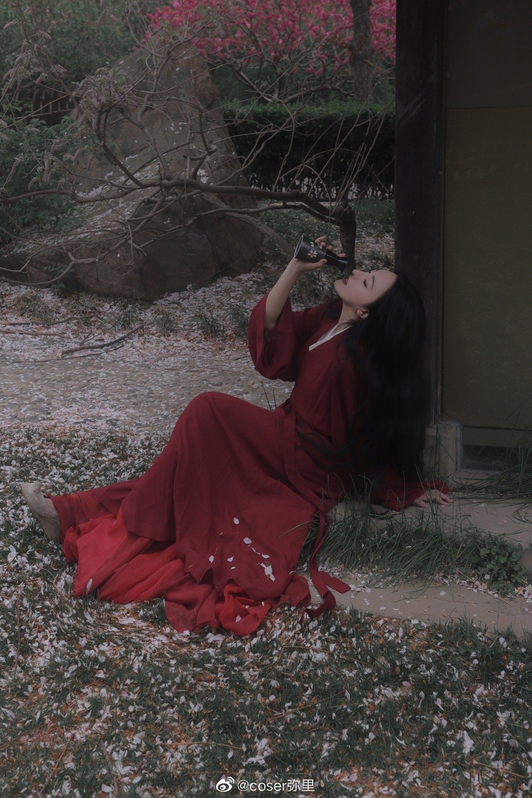 【汉服写真】 樱花 山下梅子酒熟了@coser弥里