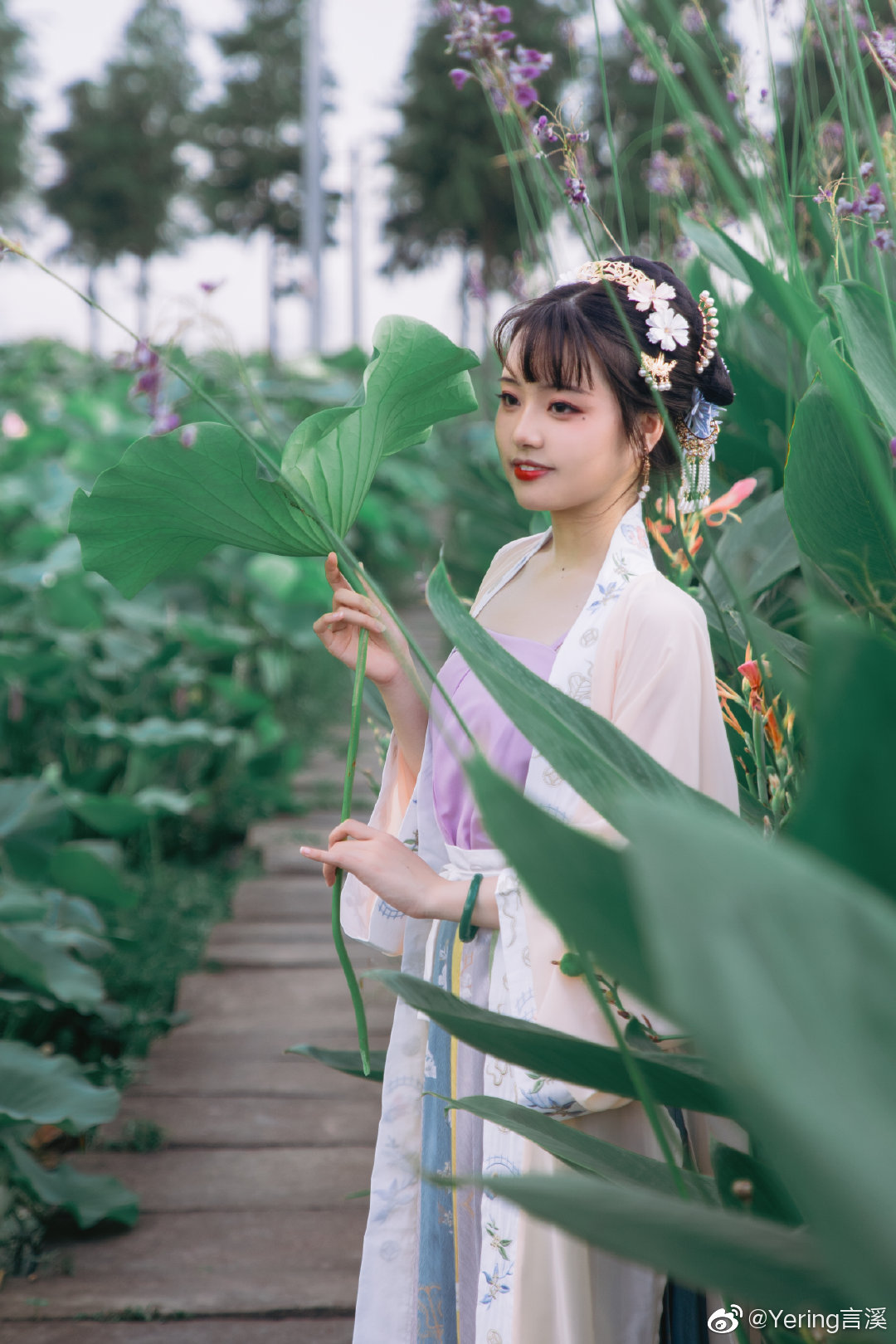 「叶上初阳干宿雨，水面清圆，一一风荷举」 @Yering言溪