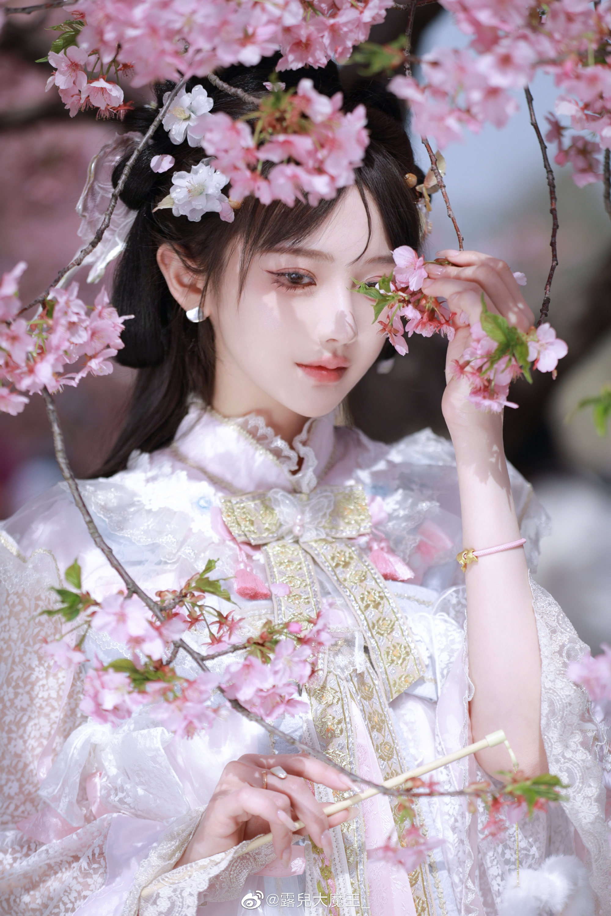 收到了樱花的图 我甚至忘记了这件事。 樱茶@露兒大魔王_