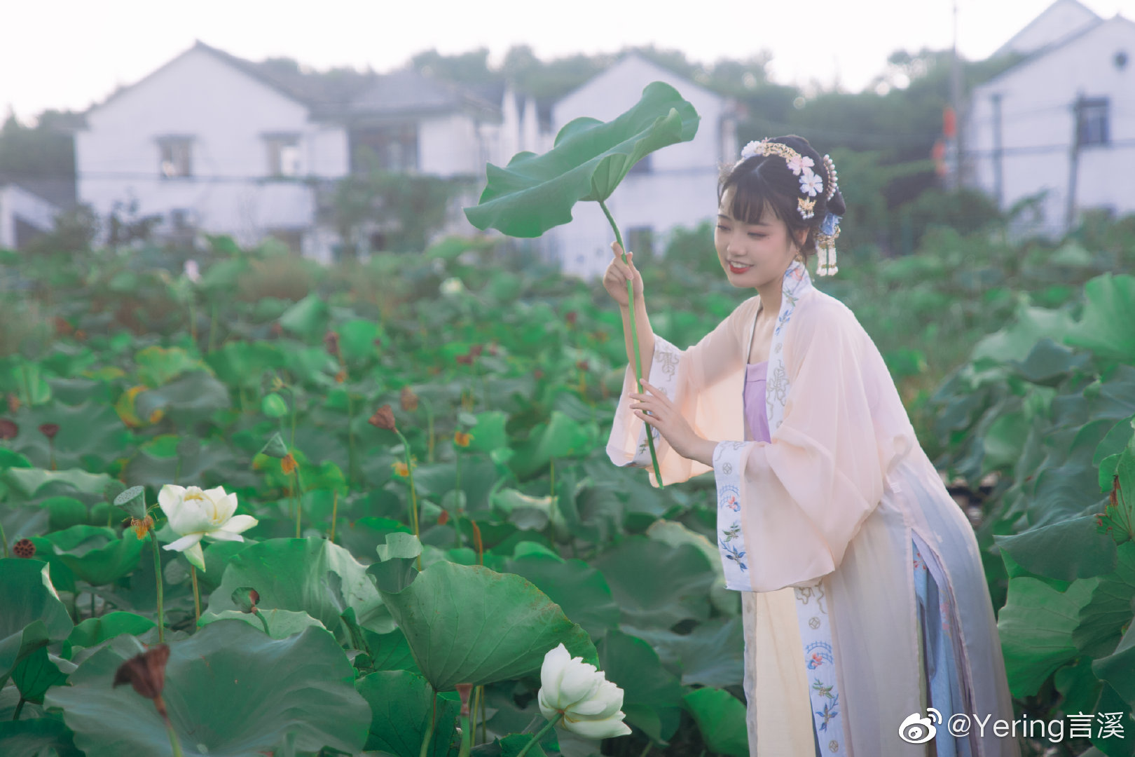 「叶上初阳干宿雨，水面清圆，一一风荷举」 @Yering言溪