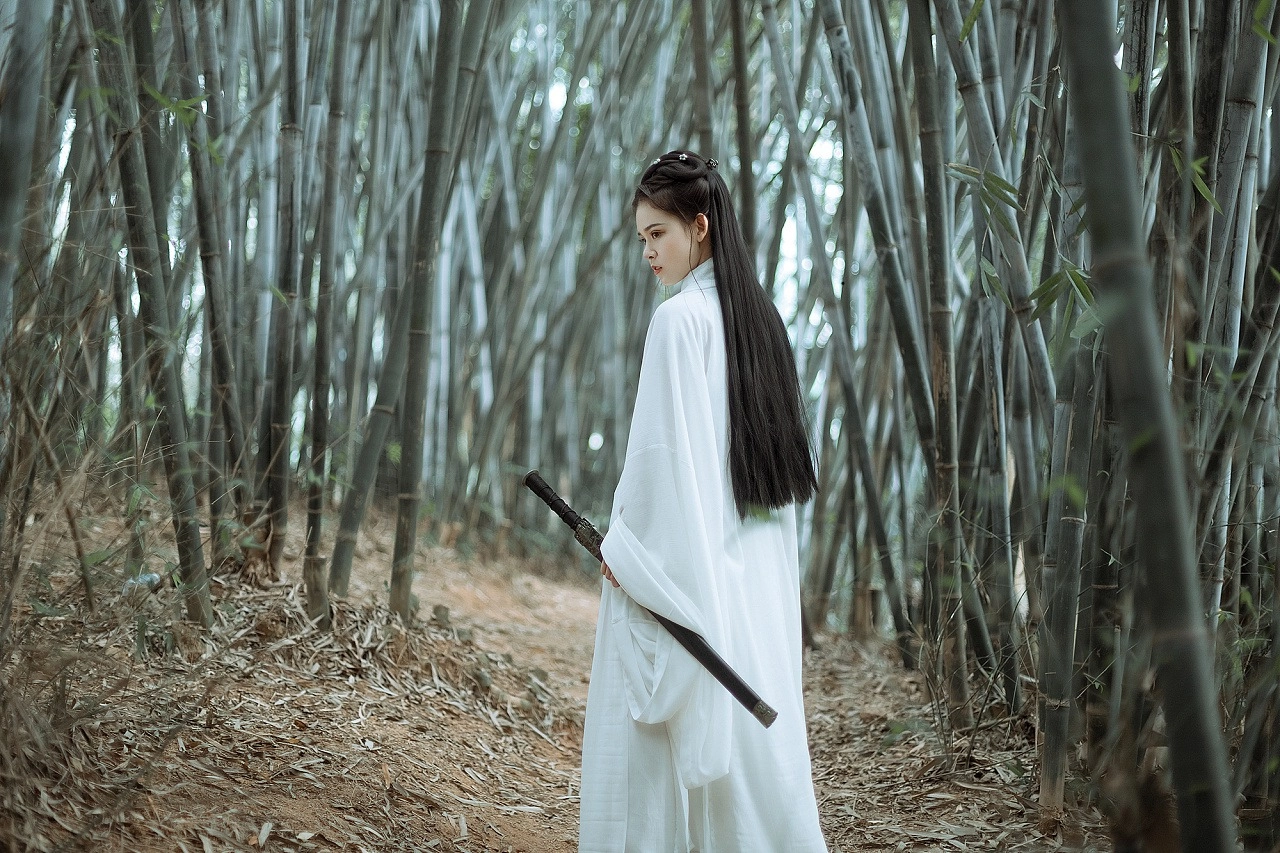 汉服写真 - 竹林书