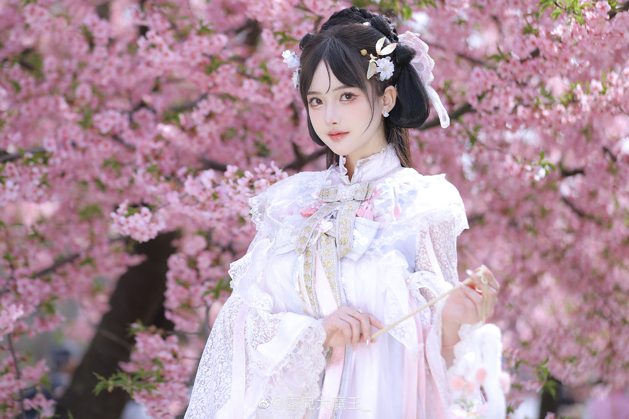 收到了樱花的图 我甚至忘记了这件事。 樱茶@露兒大魔王_