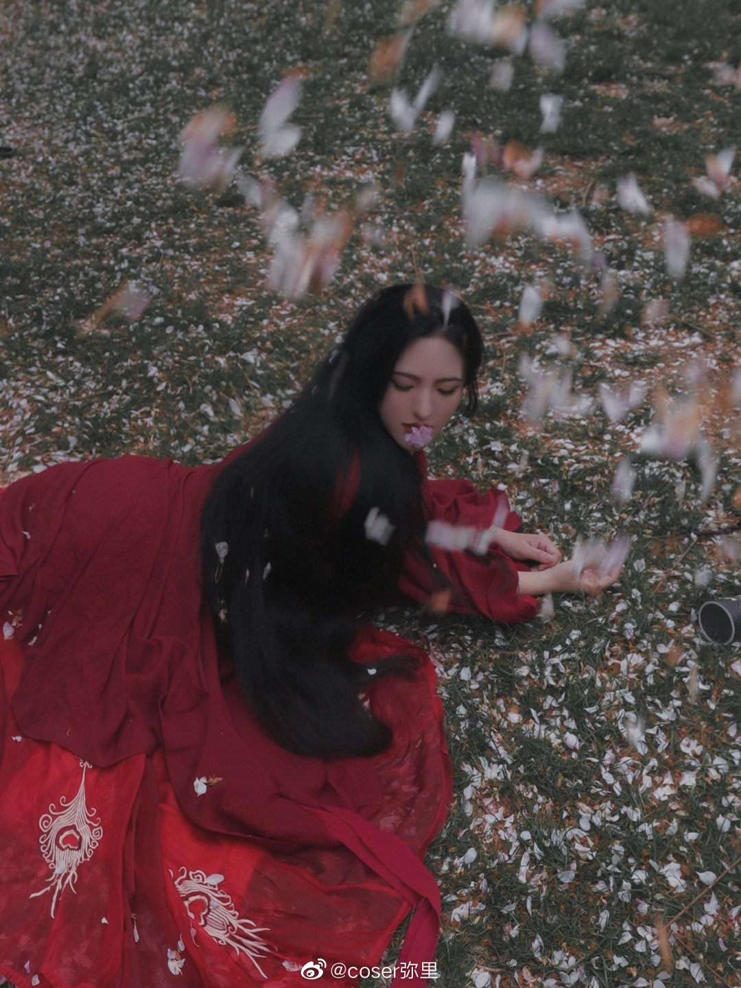 【汉服写真】 樱花 山下梅子酒熟了@coser弥里